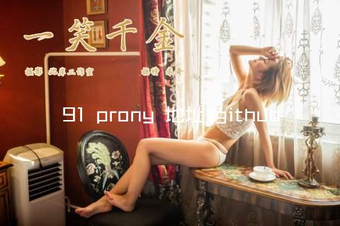 91 prony 地址 github